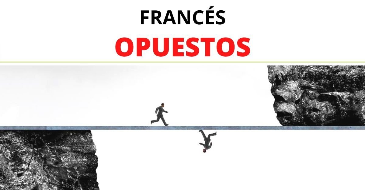 Opuestos en Francés