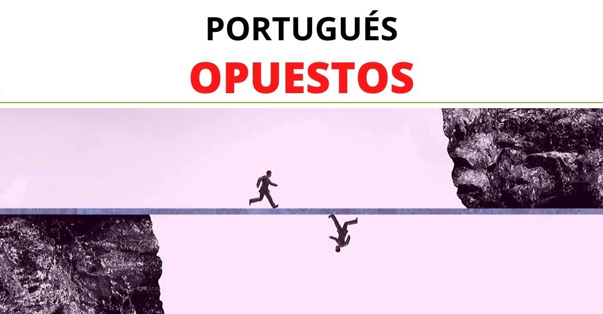 Opuestos en Portugués