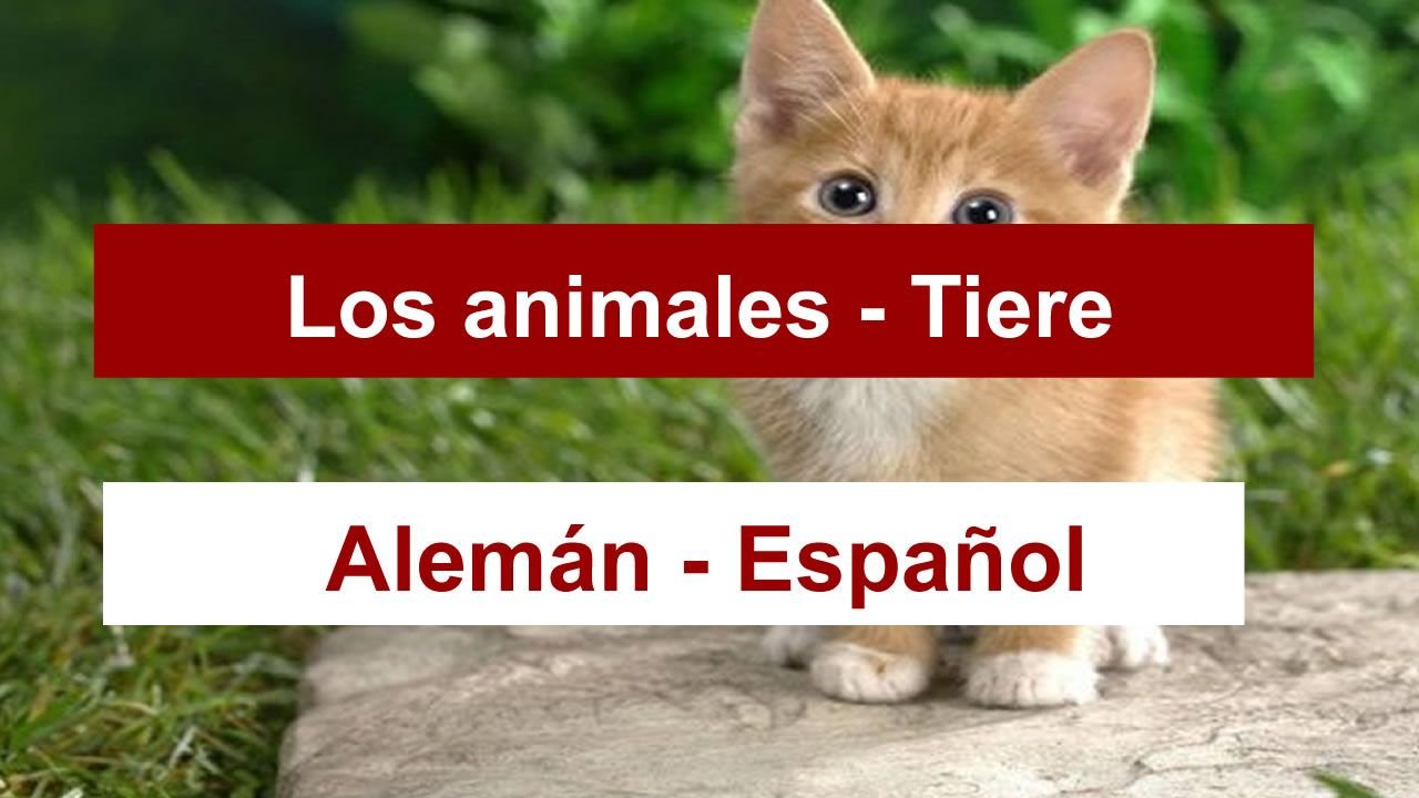 Animales en Alemán