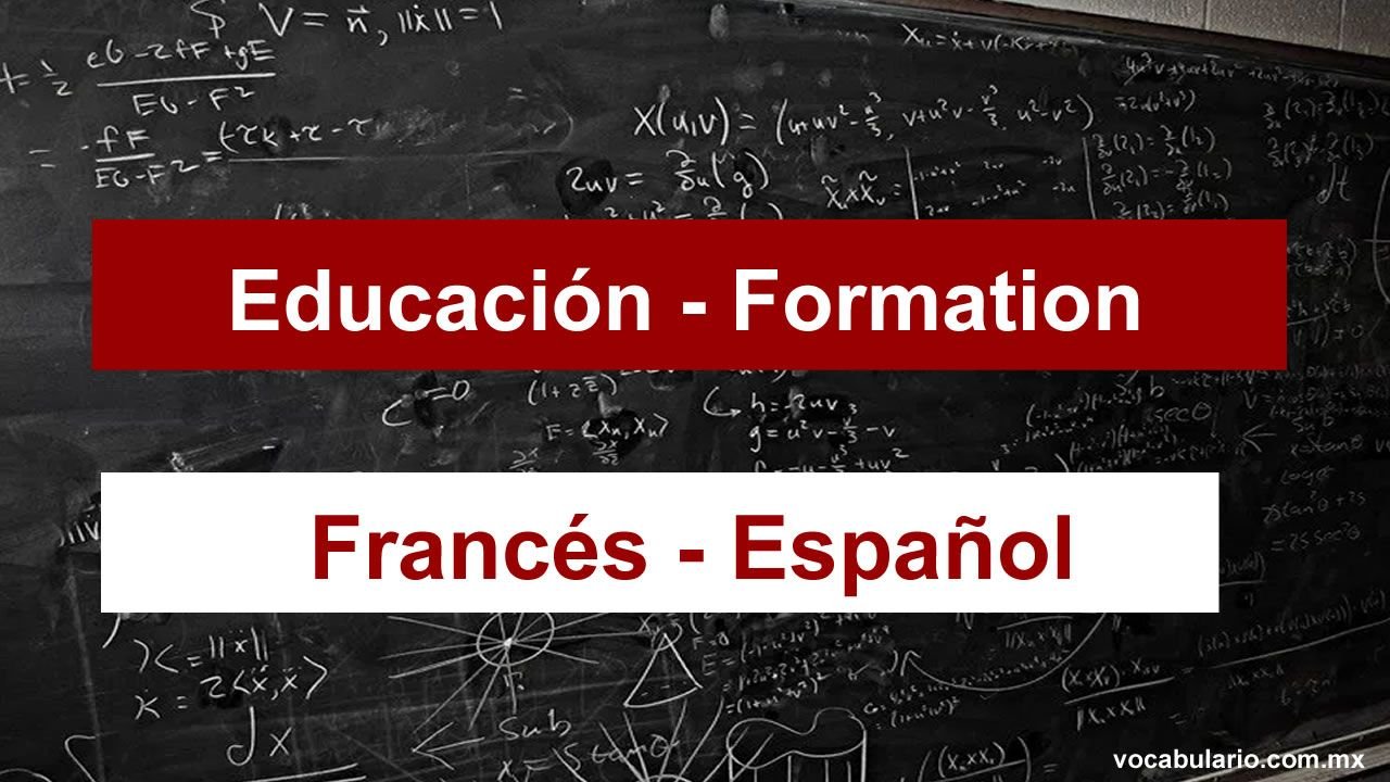 Educación en Francés ✏️