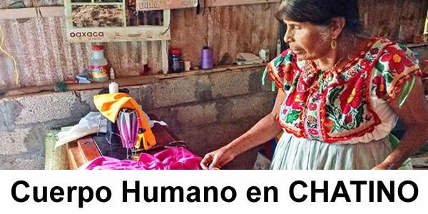 Vocabulario del Cuerpo Humano en Chatino