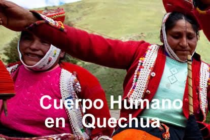 Cuerpo humano en QUECHUA