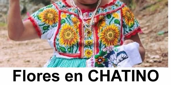 FLORA en lengua CHATINO