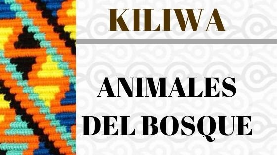 Kiliwa – Animales del Bosque