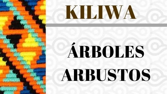 Kiliwa- Árboles