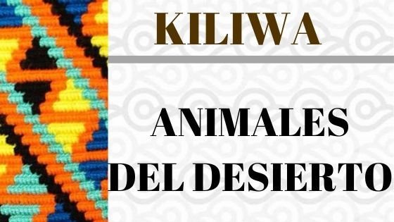 Kiliwa – Animales del Desierto