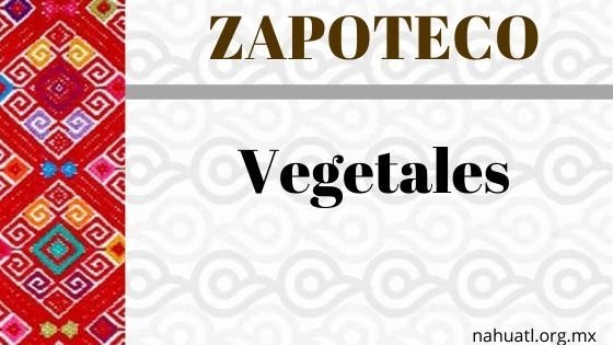 Zapoteco- Diccionario – Vegetales