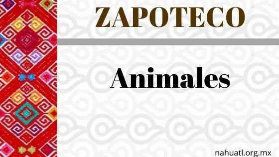 Zapoteco- Diccionario – Animales