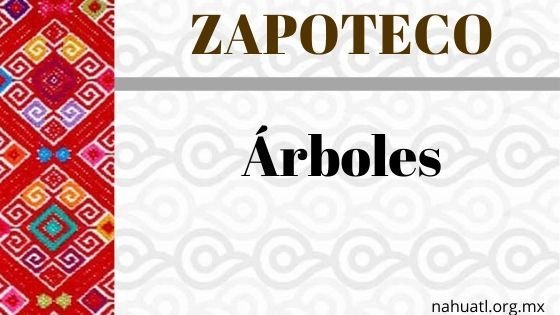 Zapoteco- Diccionario – Árboles y Arbustos