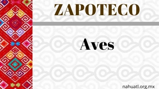 Zapoteco- Diccionario – Aves