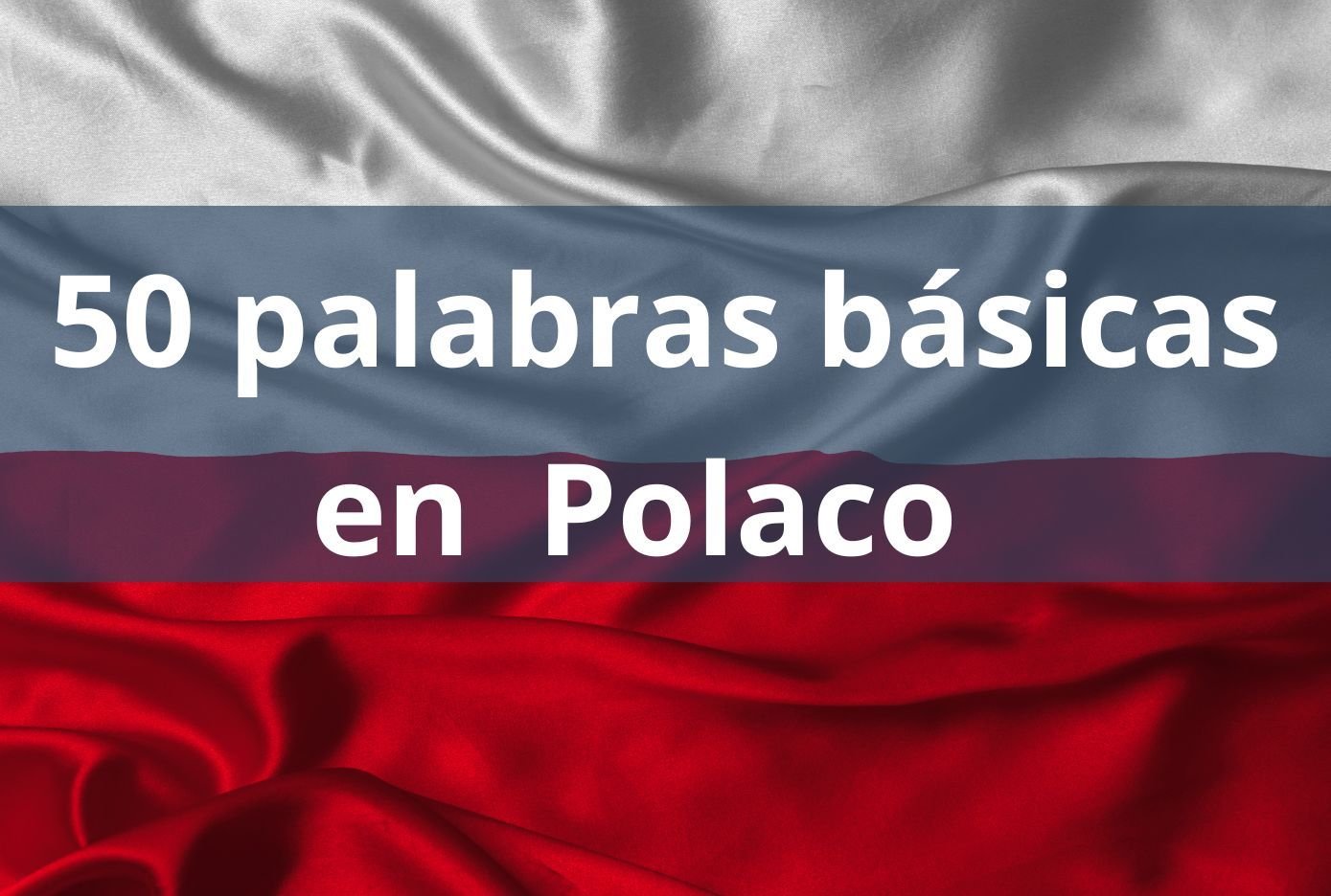 Las 50 palabras básicas en Polaco