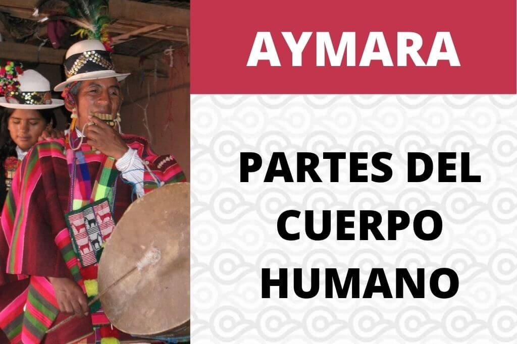 Partes del cuerpo humano en Aymara