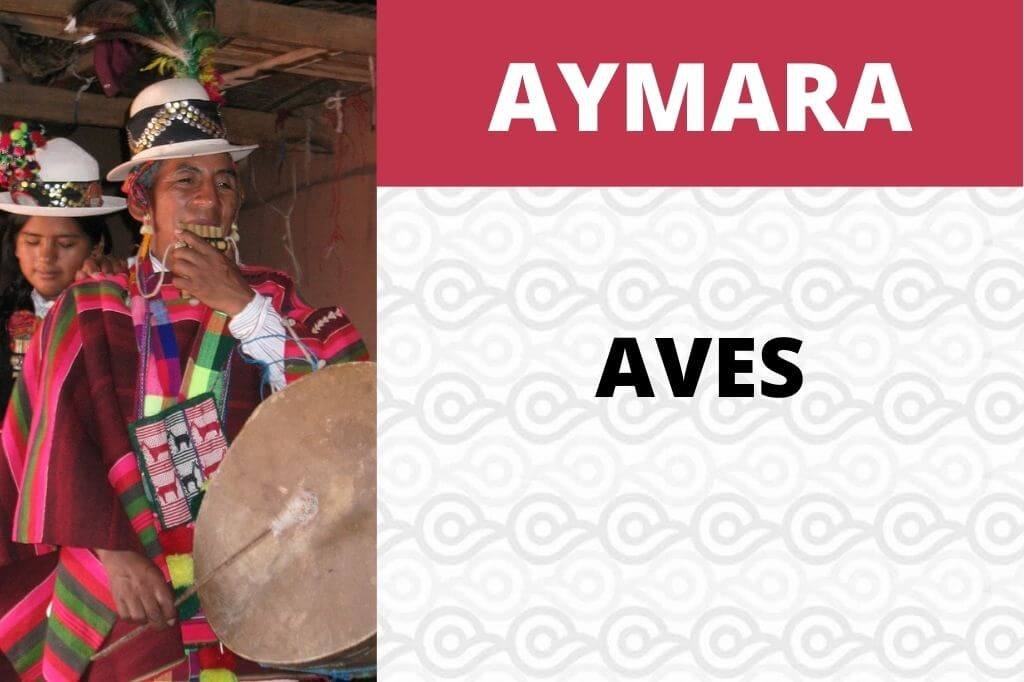 Aves en Aymara