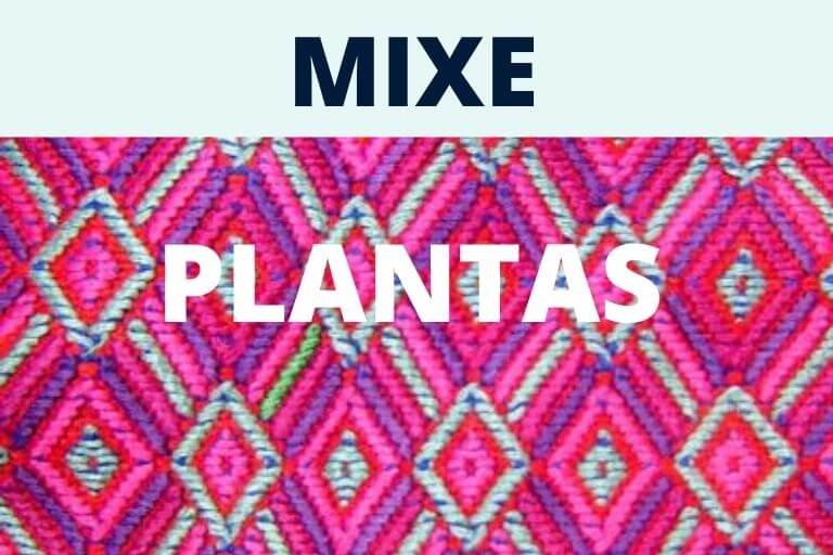 Listado de Plantas en Mixe