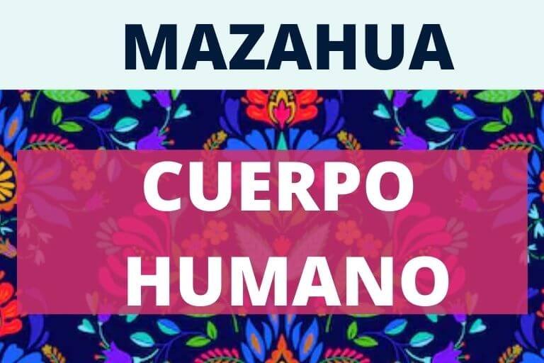 Partes del cuerpo humano en Mazahua