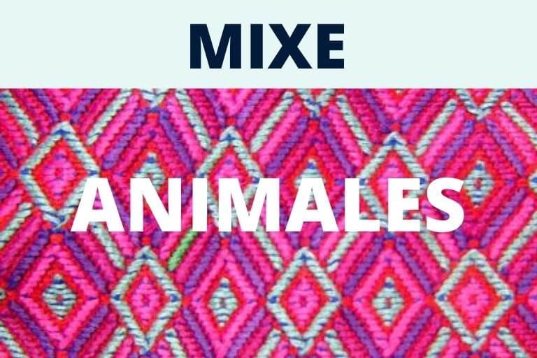 Animales en Mixe
