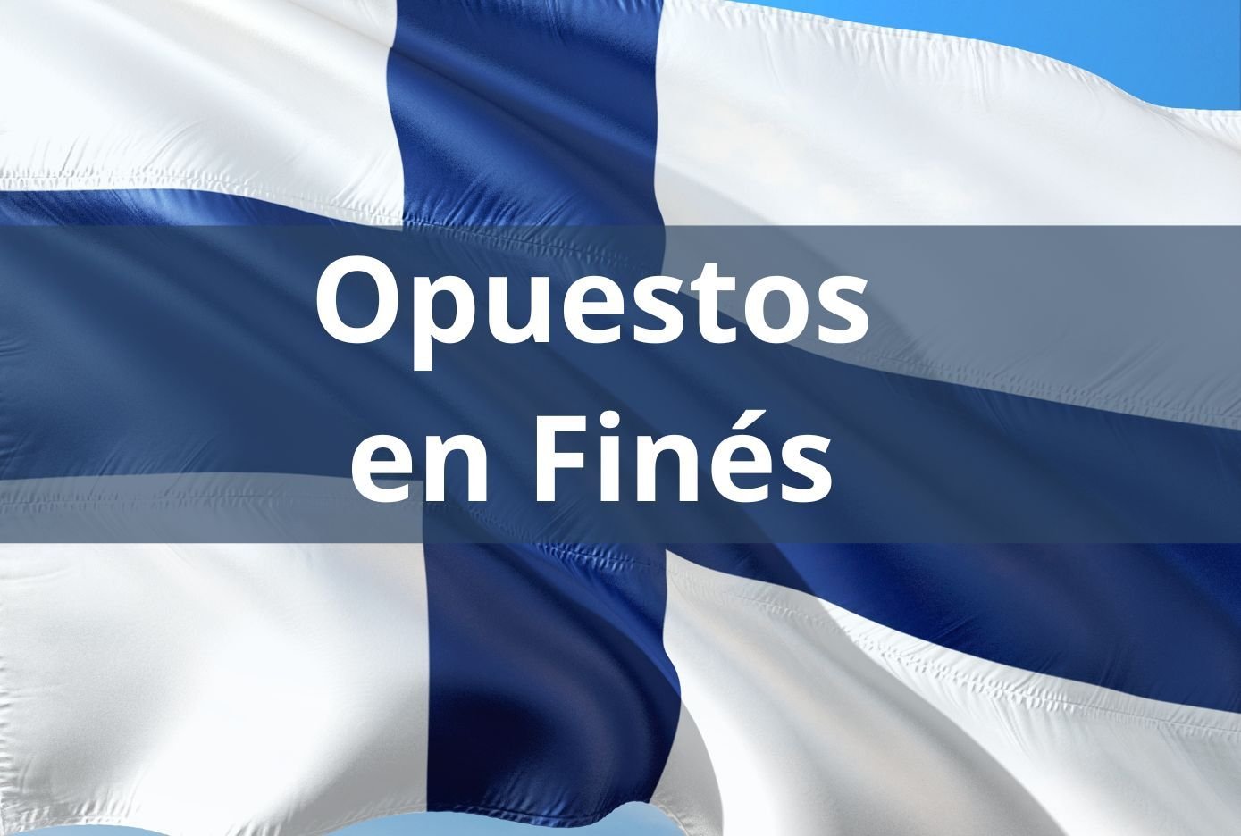Opuestos en Finés