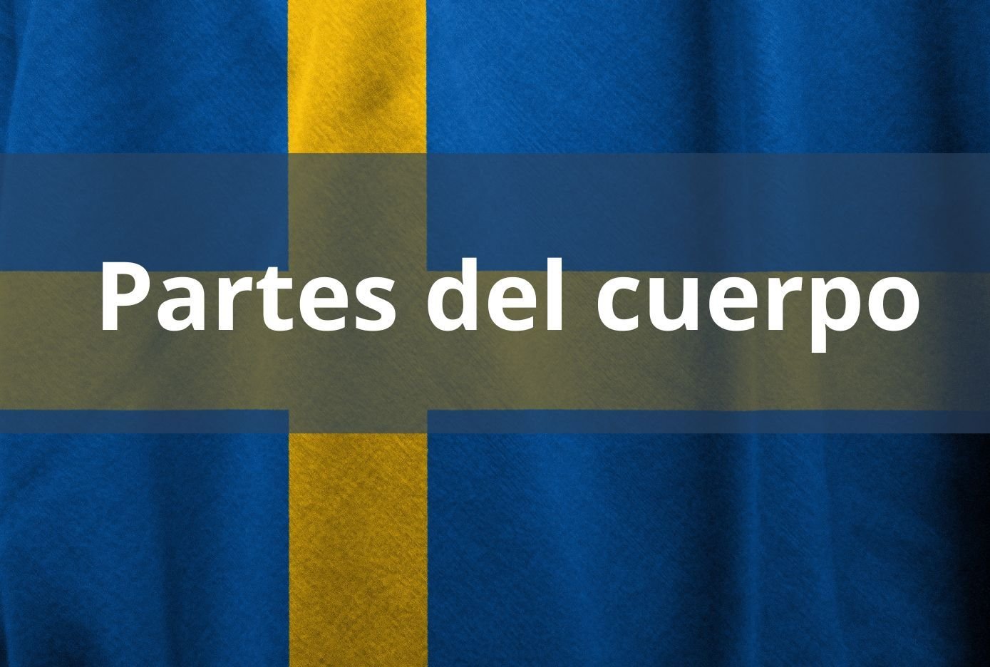 Cómo se dicen las partes del cuerpo en Sueco