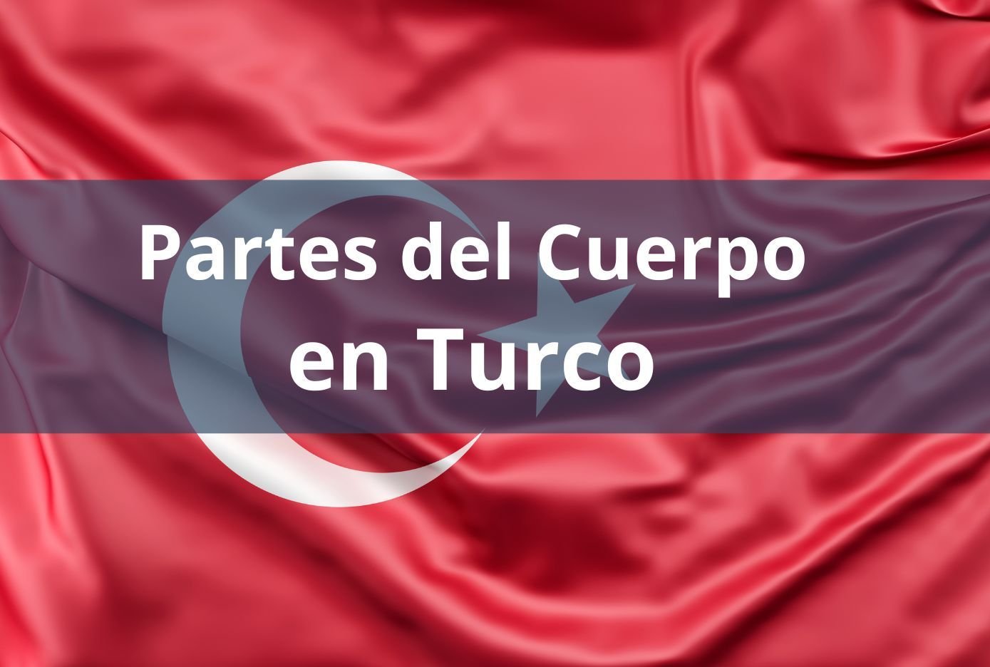partes del cuerpo en turco
